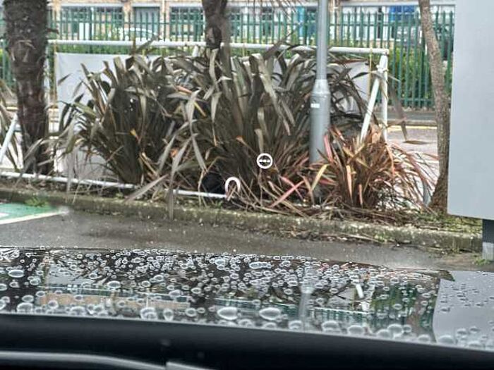 Honda CR-V e:HEV 2.0 eHEV Advance 5dr eCVT 